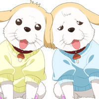 Shiitake's Kids